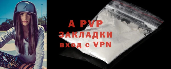 гидра Богородицк