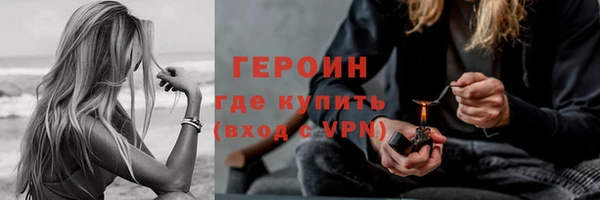 гидра Богородицк