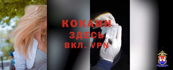 ALPHA PVP Богородск