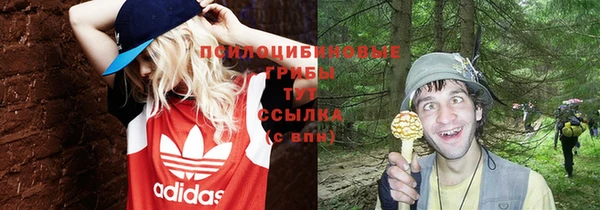 таблы Белокуриха