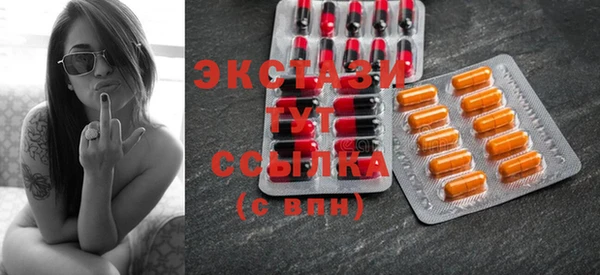 гидра Богородицк