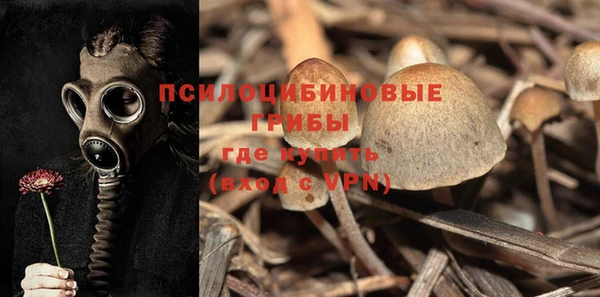 таблы Белокуриха