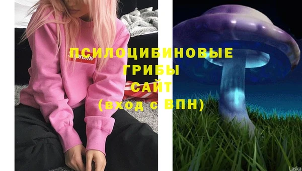 тгк Богданович