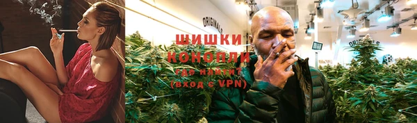 тгк Богданович